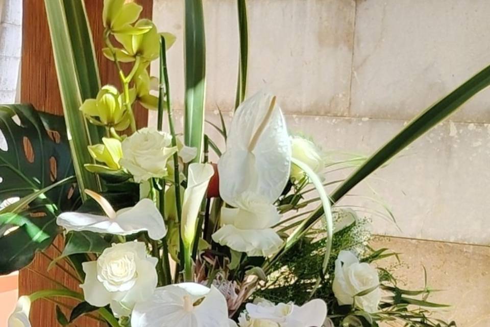 Elegancia