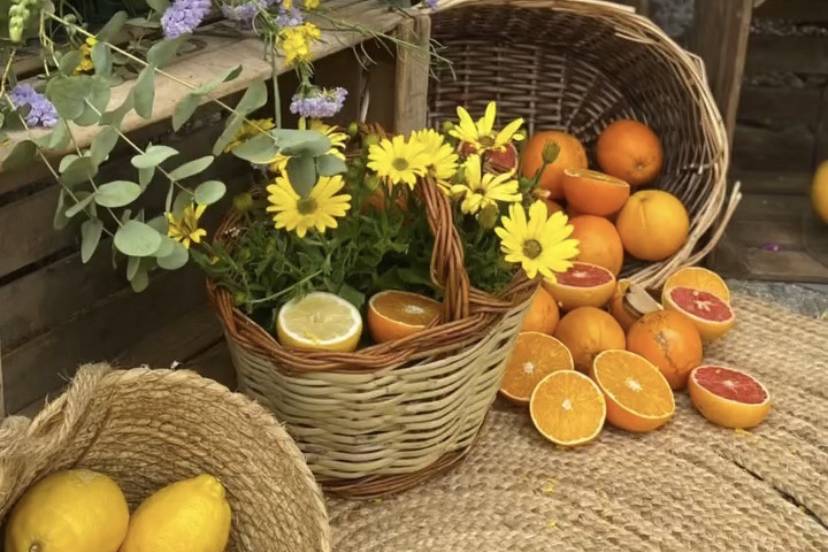 Detalles Bodegon