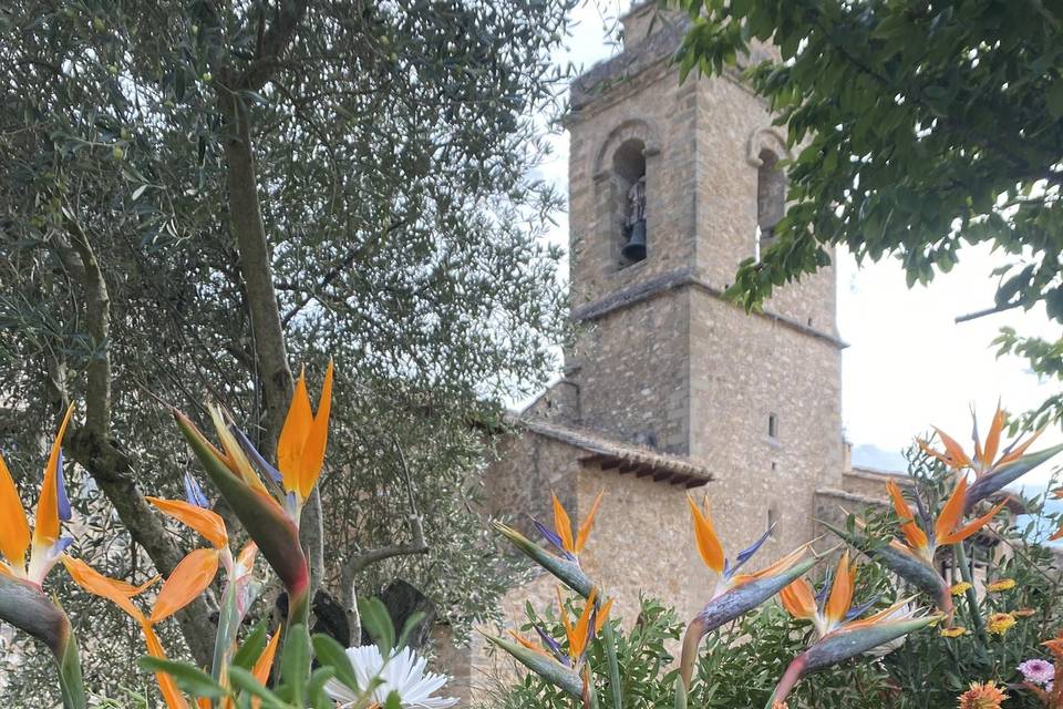 Pasillo Esterlicia