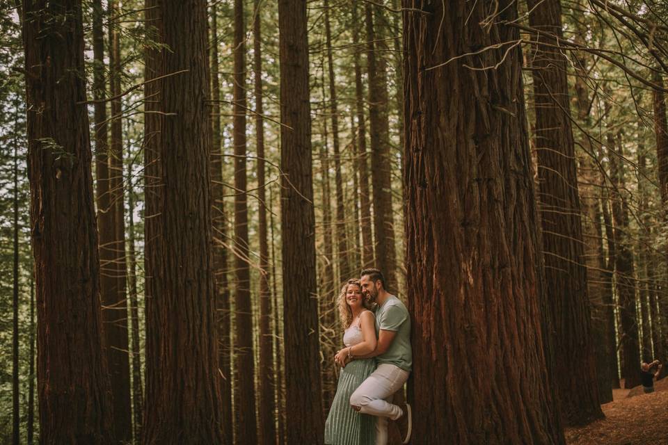 Fotografía de boda en Córdoba