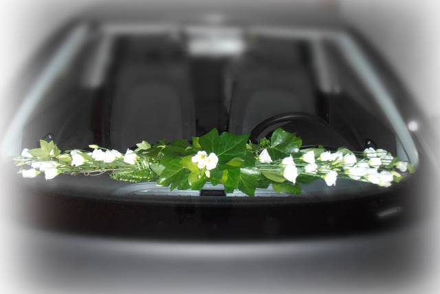 Decoración para coche
