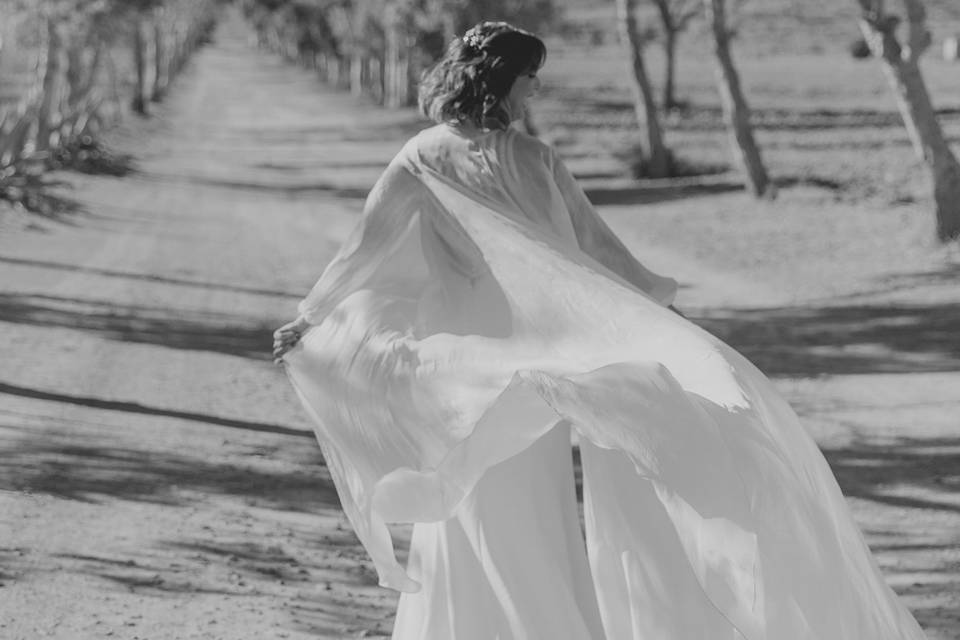 Daniel Pérez Fotografía