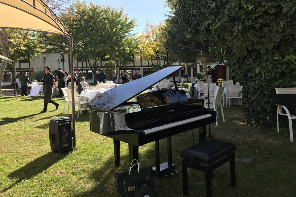 Piano de cola en el cóctel