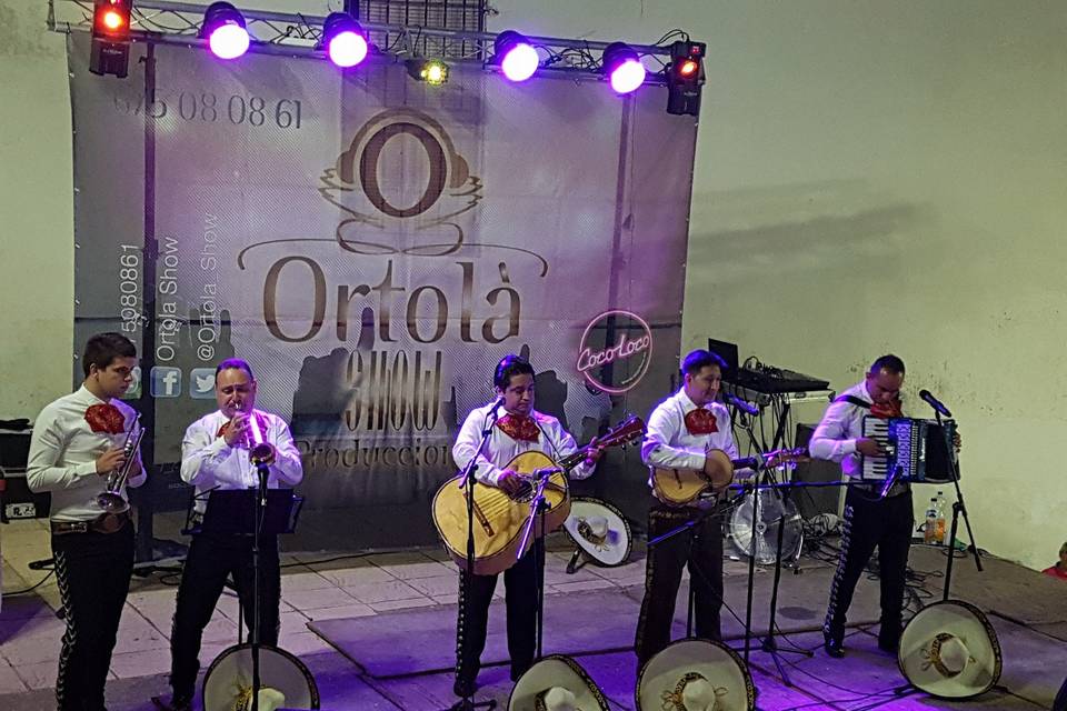 Serenatas con orquestas