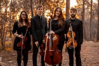 Cuarteto Góngora
