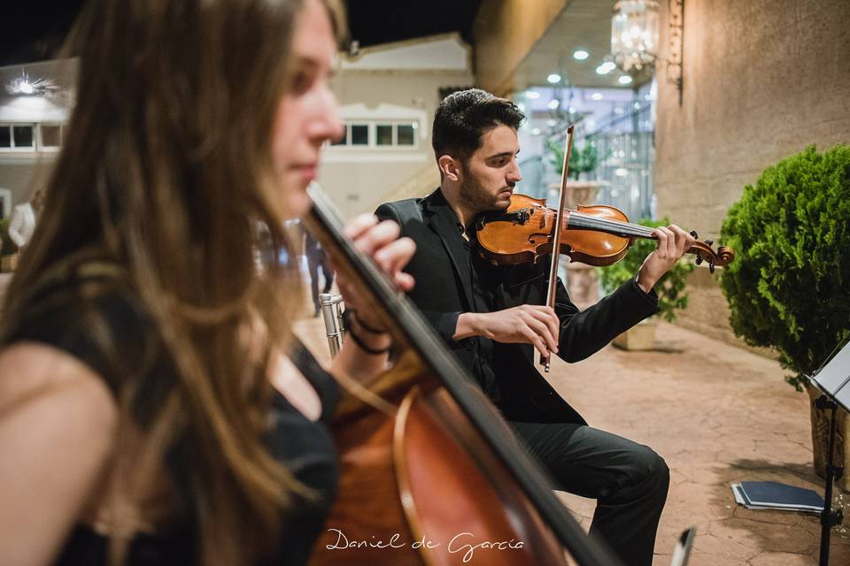 Cuarteto Góngora