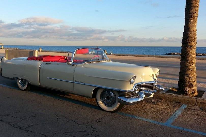 Cadillac 54