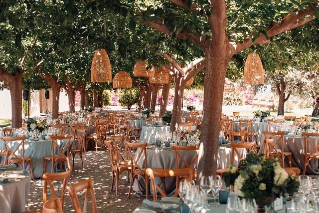 Banquetes especiales