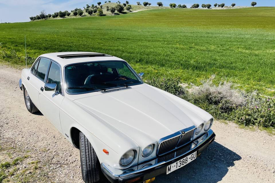 Jaguar XJ6