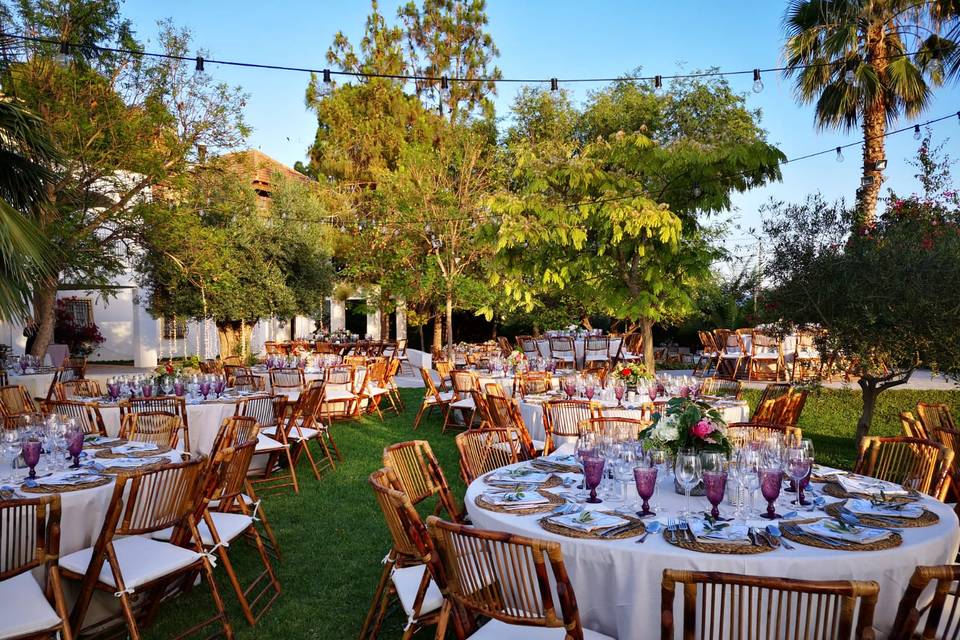 Cena en el jardín zona césped