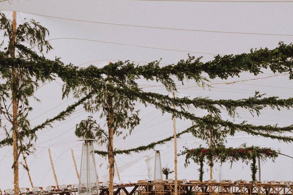 Carpa Navidad