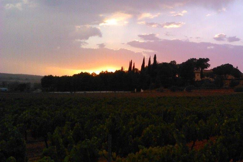 Bodega Vera de Estenas