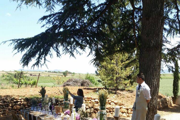 Bodega Vera de Estenas