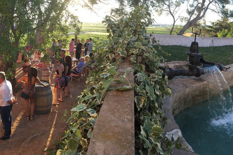 Bodega Vera de Estenas