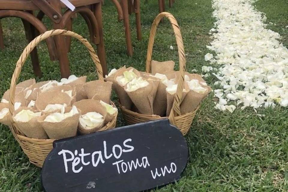 Petalos