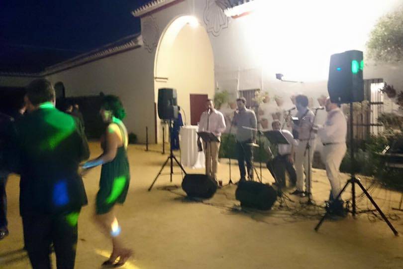 Actuación en boda