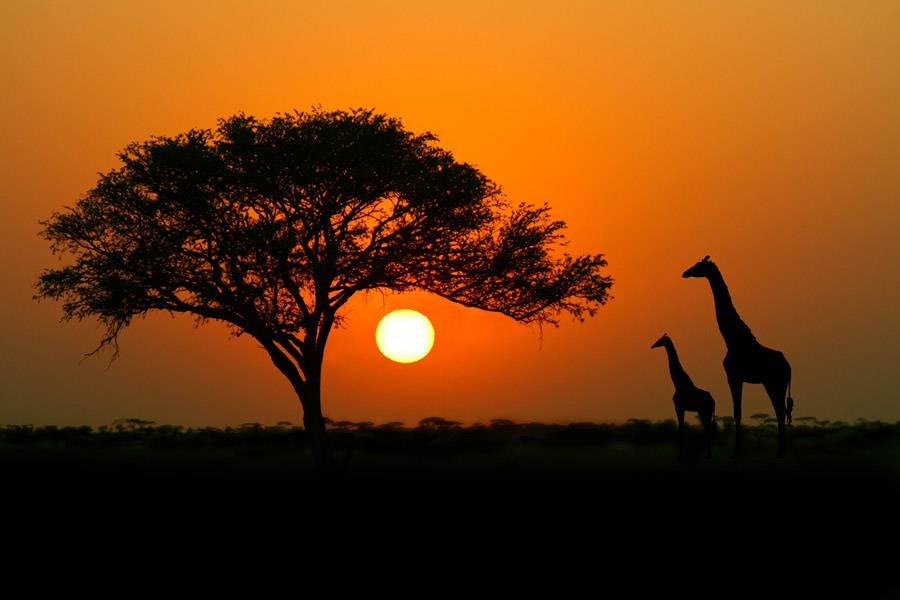 Atardeceres nunca vistos