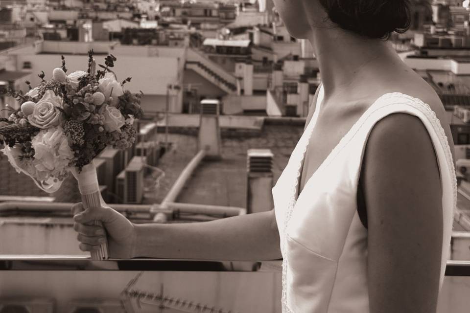 Novia vistas de Sevilla