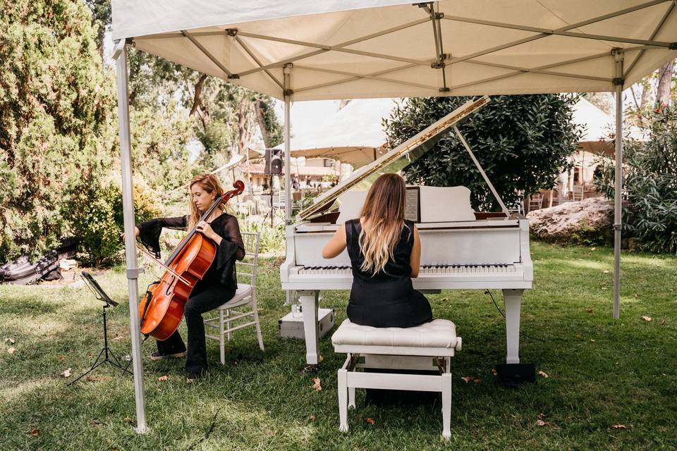 La elegancia del violonchelo