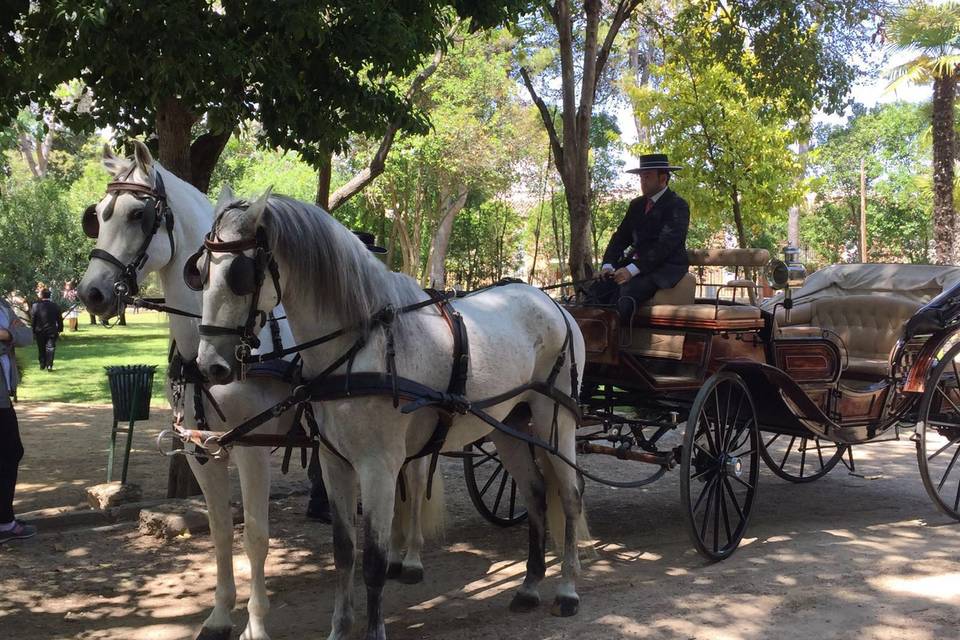 Coche de caballos