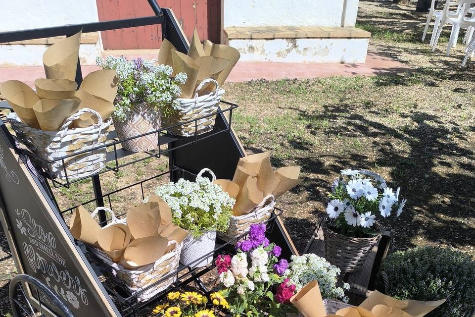 Decoracion de entrada