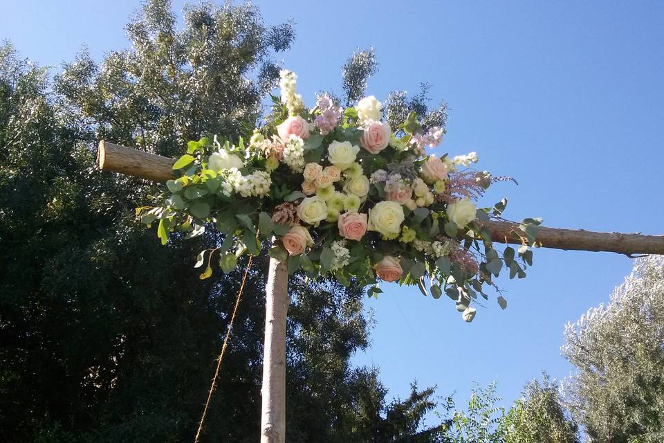 Flores para la pérgola