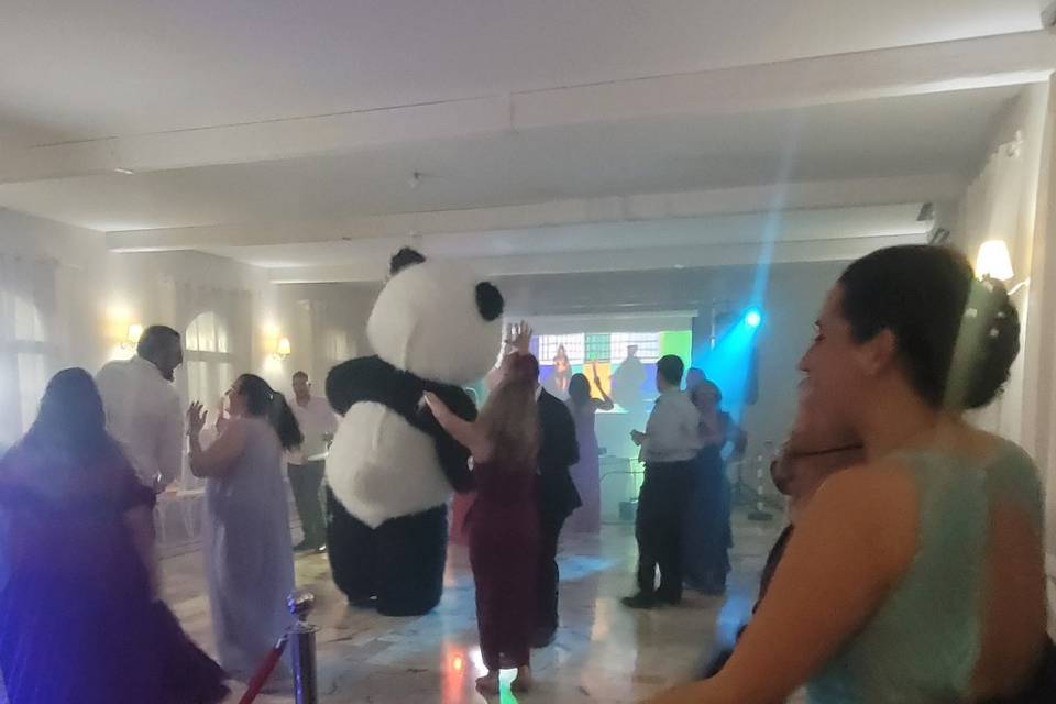 Panda