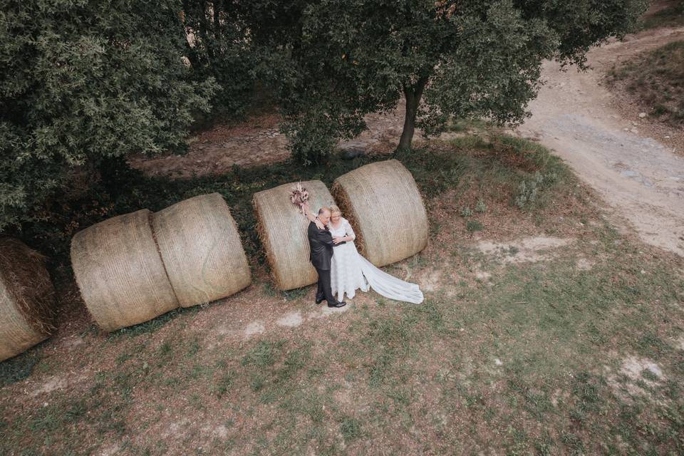 Novios