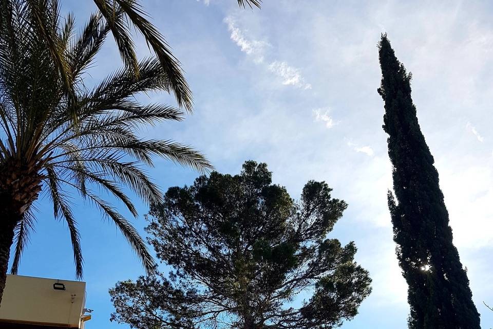 Jardines de La Villa -Linares