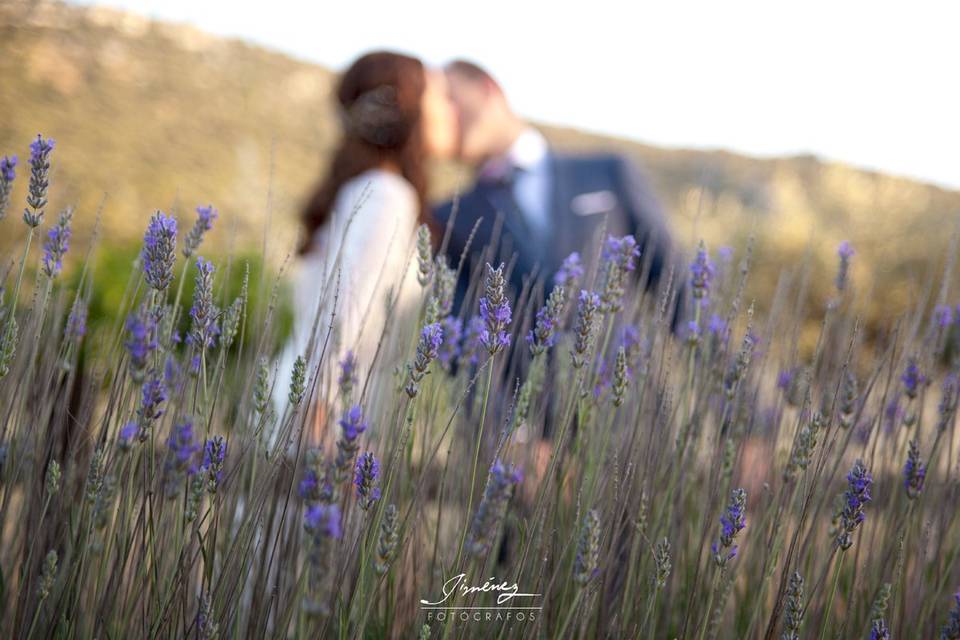 Besos con olor a lavanda