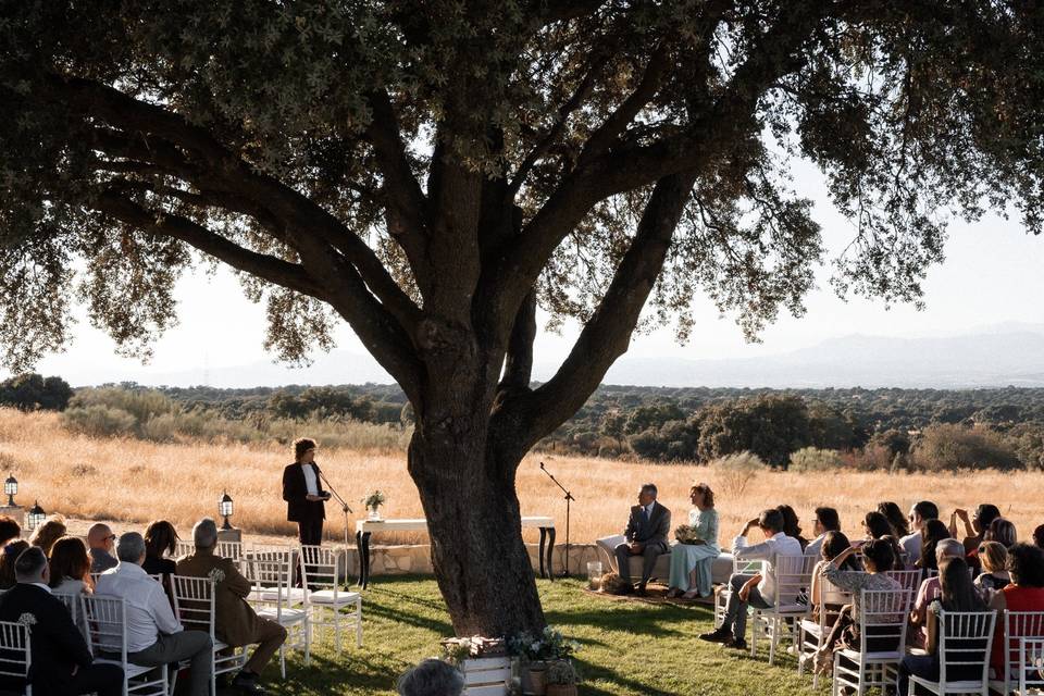 La boda de Manuel y Carmen