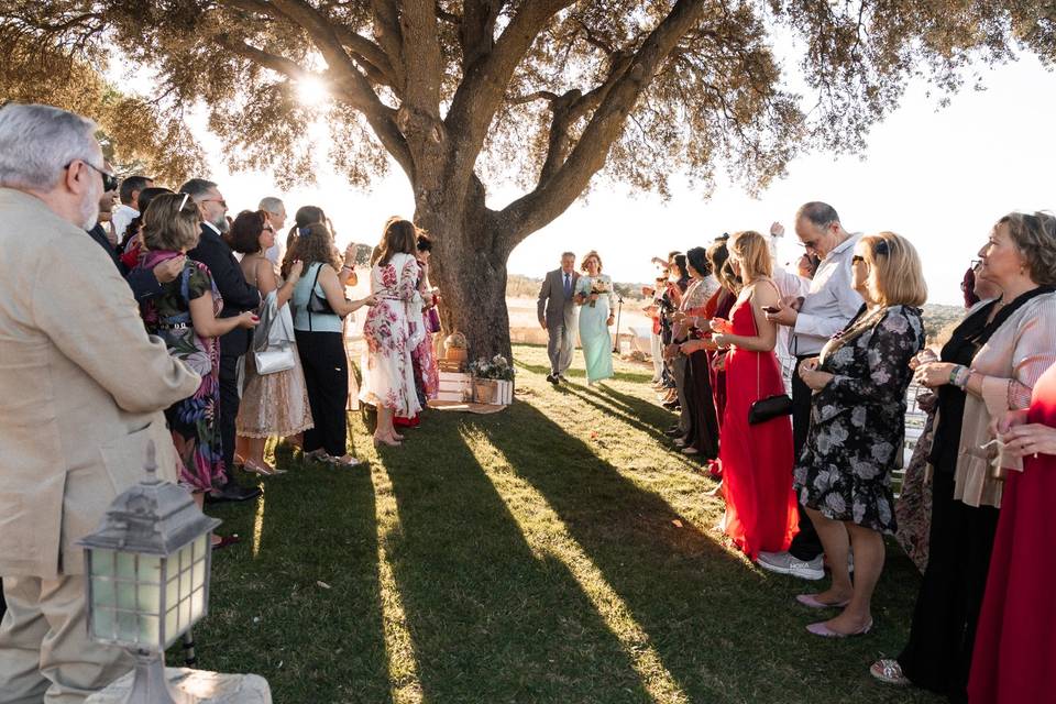 La boda de Manuel y Carmen