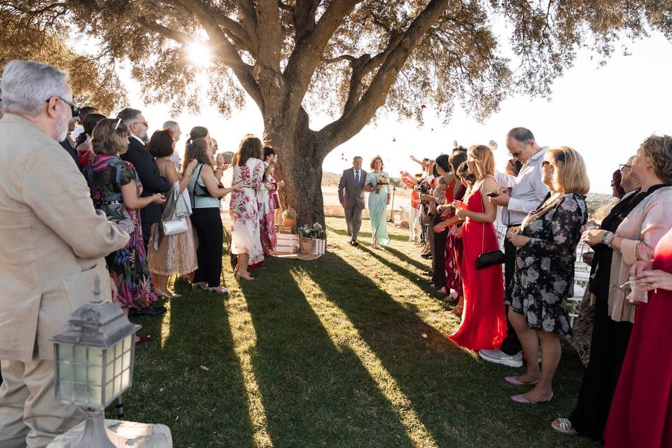 La boda de Manuel y Carmen