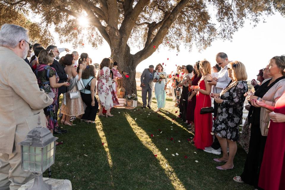 La boda de Manuel y Carmen