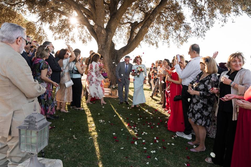 La boda de Manuel y Carmen