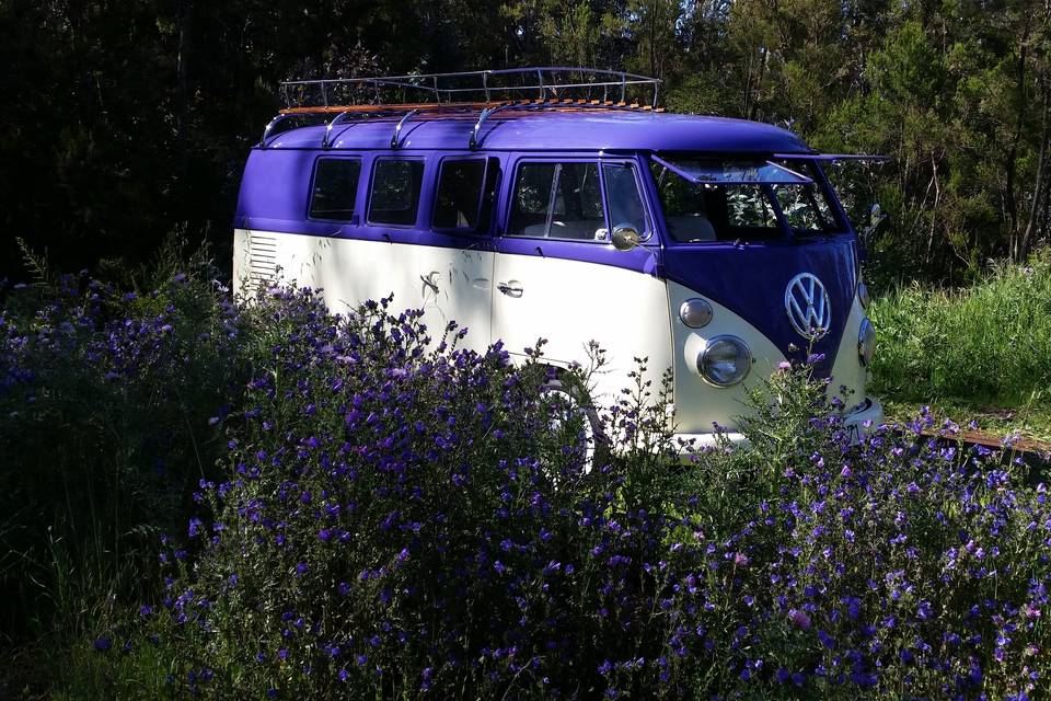 Volkswagen T1 para tu boda