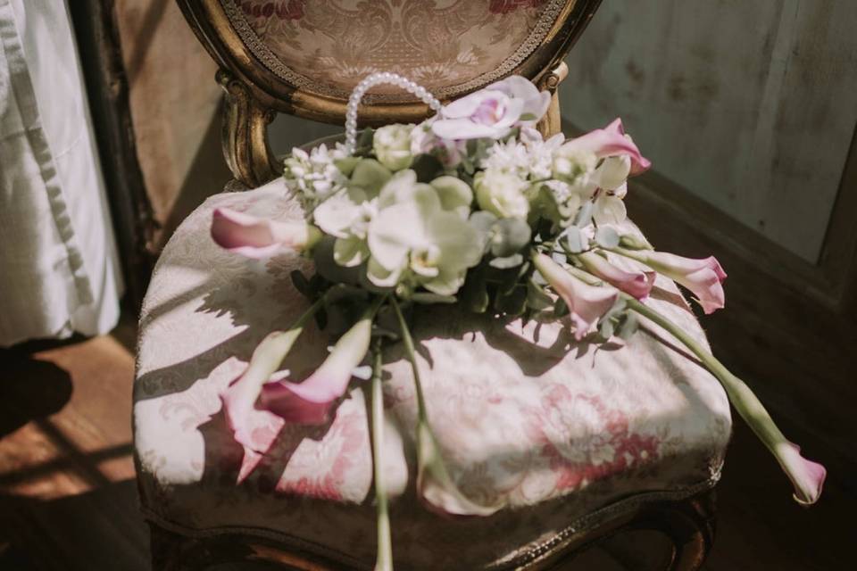 Fotografía