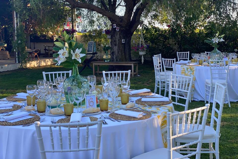 Boda exterior en jardín Olivo