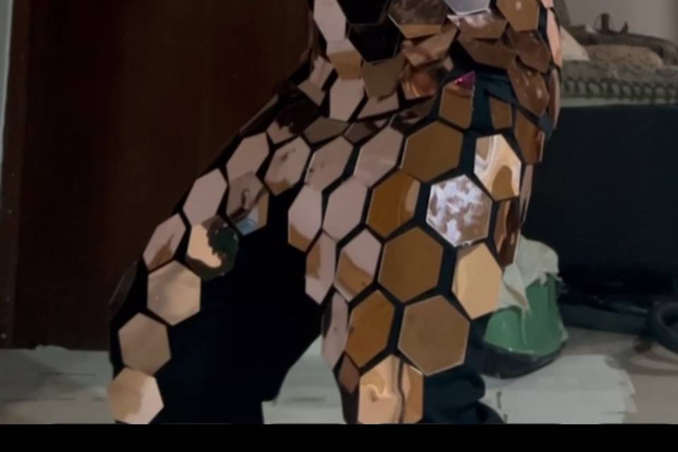Mirror tiger