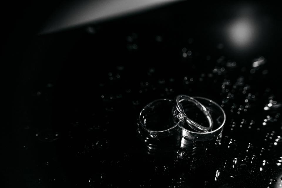 Alexandra Tesh Photography