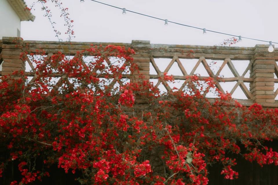 Patio Era