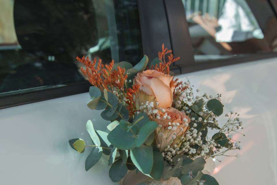 Caprichosa Amapola