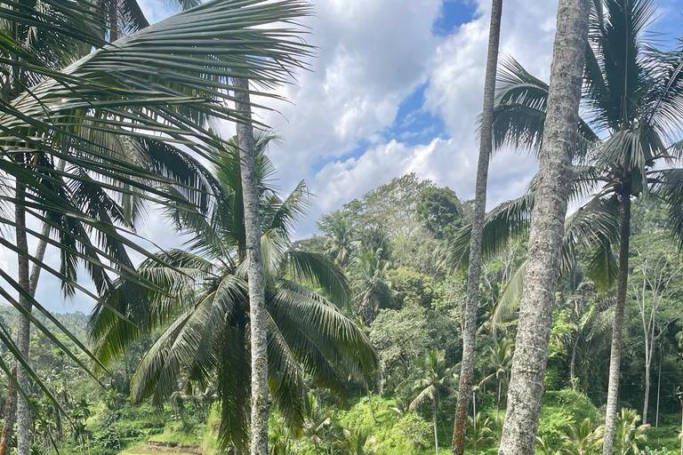 Luna de miel en Bali