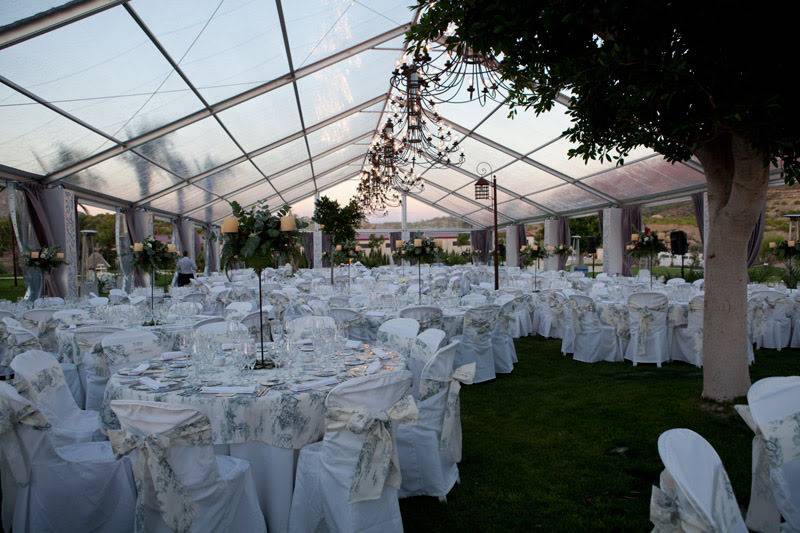 Carpa transparente