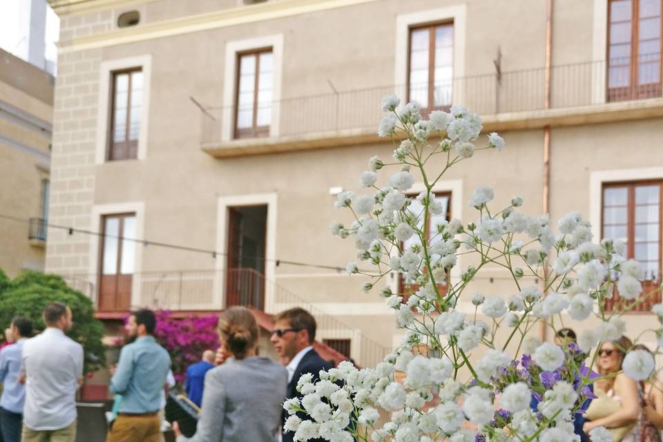 Aperitivo en el jardín