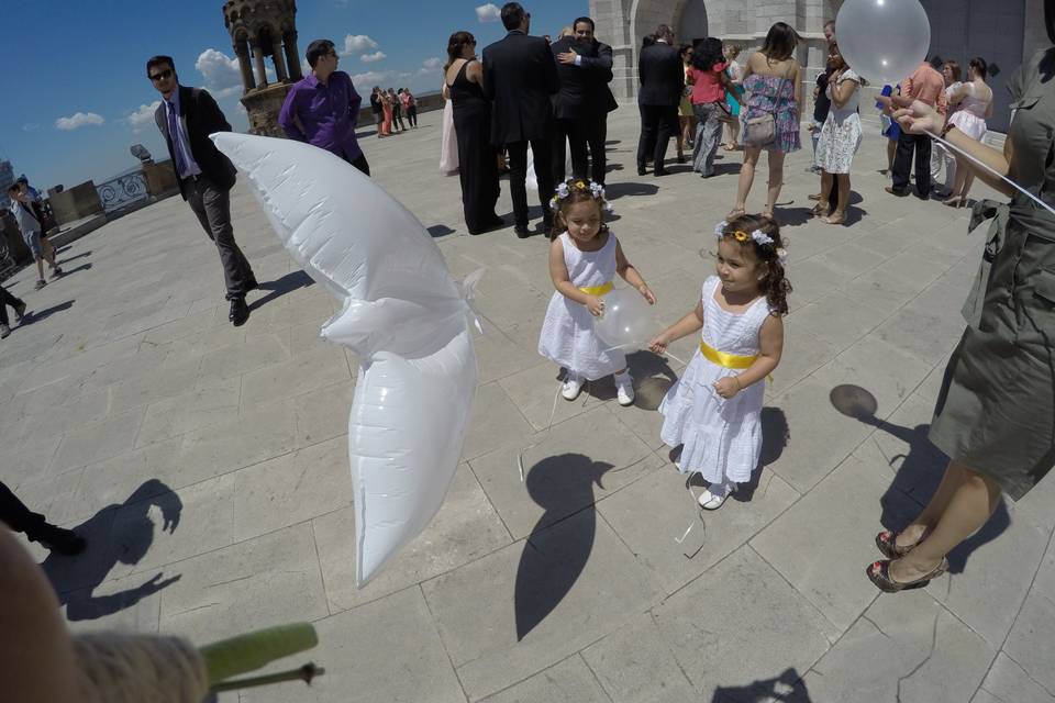 Globos de palomas