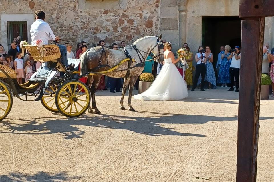 Entrada nupcial Polina y José