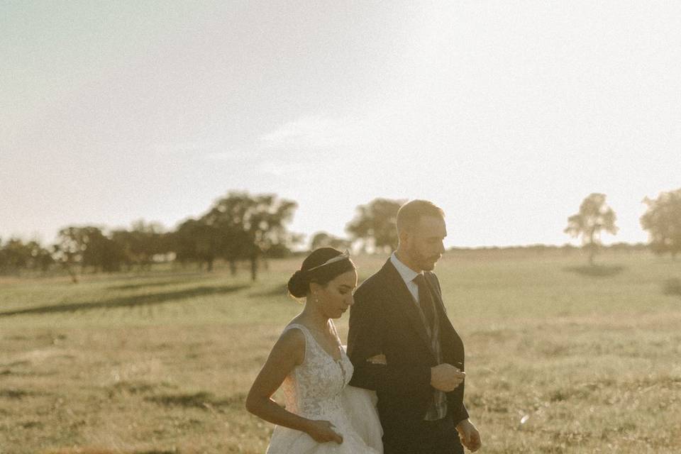 Postboda