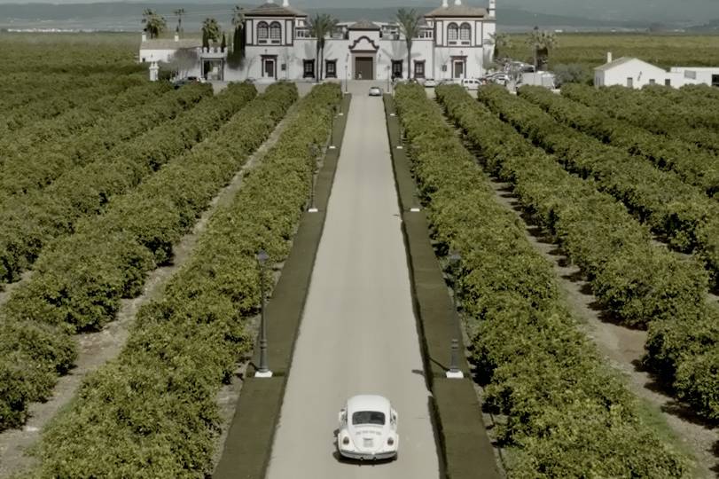 Entrada en la hacienda