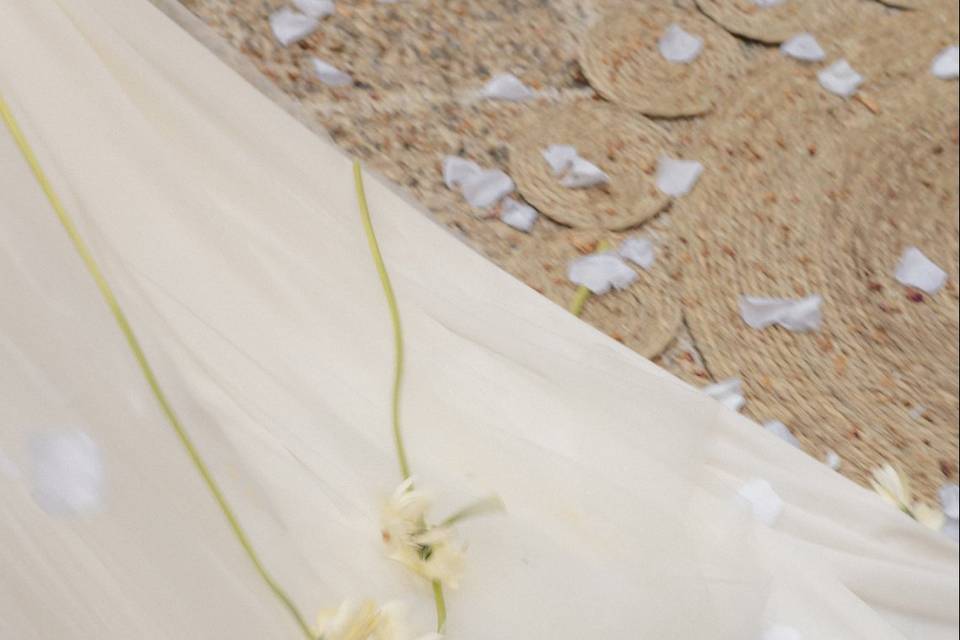 Detalles